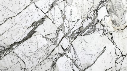 Obraz premium Elegant White Marble Texture With Grey Veins
