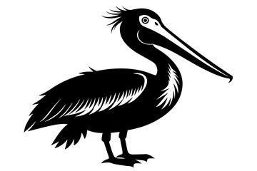 pelican silhouette on white background, Vector illustration, icon, svg, characters, Holiday t shirt, Hand drawn trendy Vector illustration
