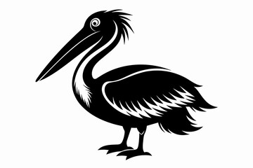 pelican silhouette on white background, Vector illustration, icon, svg, characters, Holiday t shirt, Hand drawn trendy Vector illustration