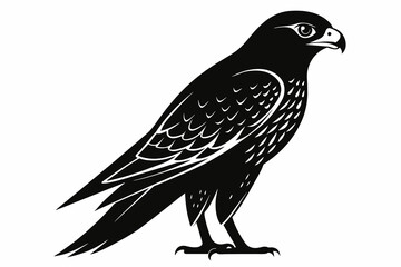 Falcon silhouette on white background, Vector illustration, icon, svg, characters, Holiday t shirt, Hand drawn trendy Vector illustration