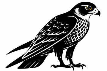 Falcon silhouette on white background, Vector illustration, icon, svg, characters, Holiday t shirt, Hand drawn trendy Vector illustration