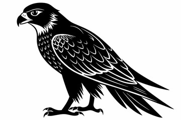 Falcon silhouette on white background, Vector illustration, icon, svg, characters, Holiday t shirt, Hand drawn trendy Vector illustration