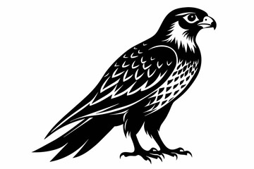 Falcon silhouette on white background, Vector illustration, icon, svg, characters, Holiday t shirt, Hand drawn trendy Vector illustration