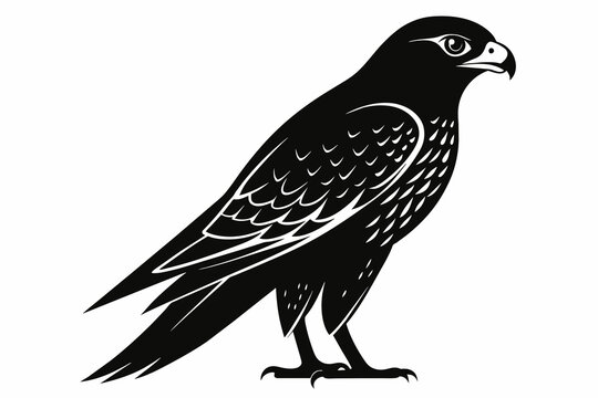 recommend clip art: Falcon silhouette on white background, Vector illustration, icon, svg, characters, Holiday t shirt, Hand drawn trendy Vector illustration
