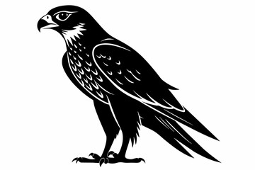 Falcon silhouette on white background, Vector illustration, icon, svg, characters, Holiday t shirt, Hand drawn trendy Vector illustration