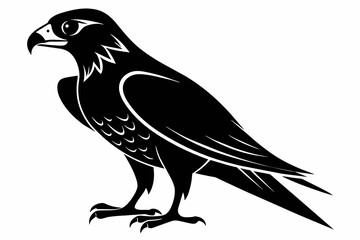 Falcon silhouette on white background, Vector illustration, icon, svg, characters, Holiday t shirt, Hand drawn trendy Vector illustration