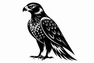 Falcon silhouette on white background, Vector illustration, icon, svg, characters, Holiday t shirt, Hand drawn trendy Vector illustration