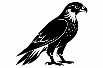 Falcon silhouette on white background, Vector illustration, icon, svg, characters, Holiday t shirt, Hand drawn trendy Vector illustration