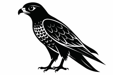 Falcon silhouette on white background, Vector illustration, icon, svg, characters, Holiday t shirt, Hand drawn trendy Vector illustration