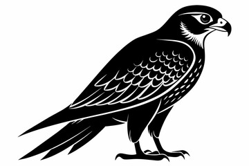 Falcon silhouette on white background, Vector illustration, icon, svg, characters, Holiday t shirt, Hand drawn trendy Vector illustration
