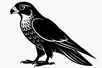 Falcon silhouette on white background, Vector illustration, icon, svg, characters, Holiday t shirt, Hand drawn trendy Vector illustration