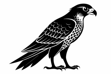 Falcon silhouette on white background, Vector illustration, icon, svg, characters, Holiday t shirt, Hand drawn trendy Vector illustration