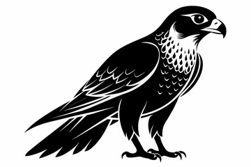 Falcon silhouette on white background, Vector illustration, icon, svg, characters, Holiday t shirt, Hand drawn trendy Vector illustration