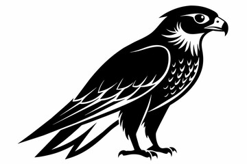Falcon silhouette on white background, Vector illustration, icon, svg, characters, Holiday t shirt, Hand drawn trendy Vector illustration