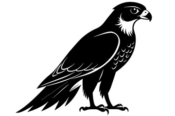 Falcon silhouette on white background, Vector illustration, icon, svg, characters, Holiday t shirt, Hand drawn trendy Vector illustration