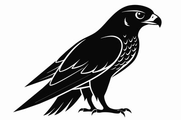 Fototapeta premium Falcon silhouette on white background, Vector illustration, icon, svg, characters, Holiday t shirt, Hand drawn trendy Vector illustration