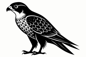 Falcon silhouette on white background, Vector illustration, icon, svg, characters, Holiday t shirt, Hand drawn trendy Vector illustration