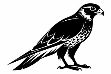 Falcon silhouette on white background, Vector illustration, icon, svg, characters, Holiday t shirt, Hand drawn trendy Vector illustration