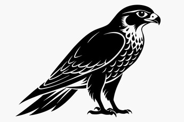 Falcon silhouette on white background, Vector illustration, icon, svg, characters, Holiday t shirt, Hand drawn trendy Vector illustration