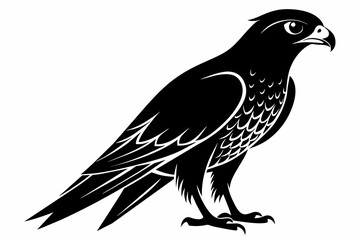 Falcon silhouette on white background, Vector illustration, icon, svg, characters, Holiday t shirt, Hand drawn trendy Vector illustration