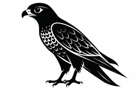recommend clip art: Falcon silhouette on white background, Vector illustration, icon, svg, characters, Holiday t shirt, Hand drawn trendy Vector illustration