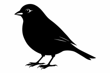 Finch silhouette on white background, Vector illustration, icon, svg, characters, Holiday t shirt, Hand drawn trendy Vector illustration, eagle silhouette