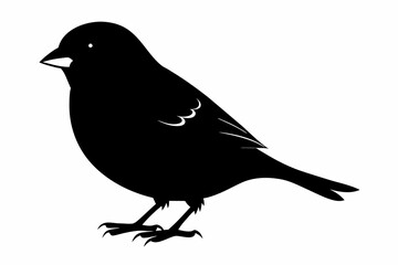 Obraz premium Finch silhouette on white background, Vector illustration, icon, svg, characters, Holiday t shirt, Hand drawn trendy Vector illustration, eagle silhouette