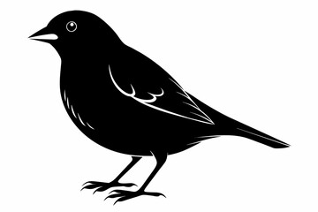 Finch silhouette on white background, Vector illustration, icon, svg, characters, Holiday t shirt, Hand drawn trendy Vector illustration, eagle silhouette