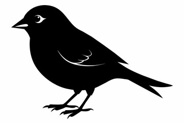 Obraz premium Finch silhouette on white background, Vector illustration, icon, svg, characters, Holiday t shirt, Hand drawn trendy Vector illustration, eagle silhouette