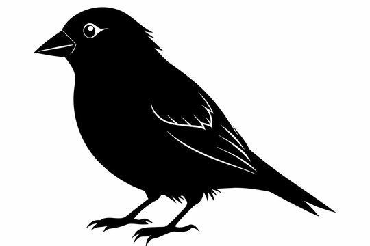 recommend clip art: Finch silhouette on white background, Vector illustration, icon, svg, characters, Holiday t shirt, Hand drawn trendy Vector illustration, eagle silhouette
