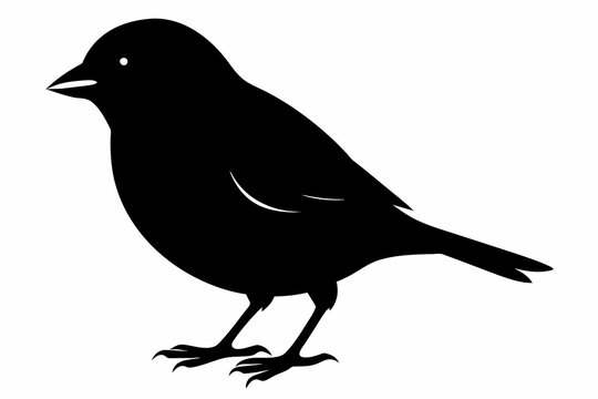 recommend clip art: Finch silhouette on white background, Vector illustration, icon, svg, characters, Holiday t shirt, Hand drawn trendy Vector illustration, eagle silhouette
