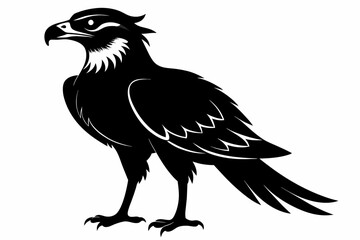 Osprey silhouette on white background, Vector illustration, icon, svg, characters, Holiday t shirt, Hand drawn trendy Vector illustration, eagle silhouette