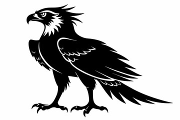 Osprey silhouette on white background, Vector illustration, icon, svg, characters, Holiday t shirt, Hand drawn trendy Vector illustration, eagle silhouette