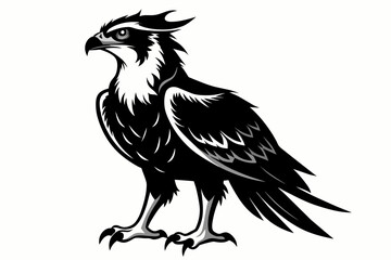 Osprey silhouette on white background, Vector illustration, icon, svg, characters, Holiday t shirt, Hand drawn trendy Vector illustration, eagle silhouette