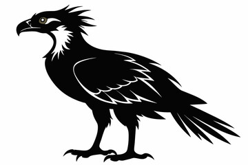 Osprey silhouette on white background, Vector illustration, icon, svg, characters, Holiday t shirt, Hand drawn trendy Vector illustration, eagle silhouette