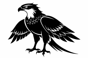 Osprey silhouette on white background, Vector illustration, icon, svg, characters, Holiday t shirt, Hand drawn trendy Vector illustration, eagle silhouette