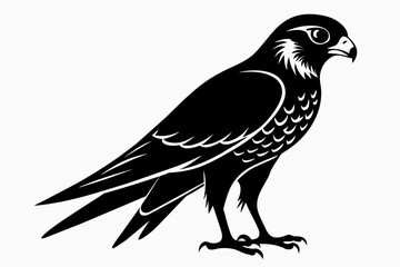 kestrel silhouette on white background, Vector illustration, icon, svg, characters, Holiday t shirt, Hand drawn trendy Vector illustration, eagle silhouette