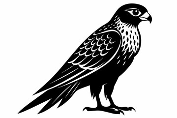 kestrel silhouette on white background, Vector illustration, icon, svg, characters, Holiday t shirt, Hand drawn trendy Vector illustration, eagle silhouette