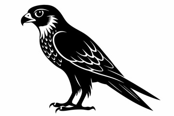 kestrel silhouette on white background, Vector illustration, icon, svg, characters, Holiday t shirt, Hand drawn trendy Vector illustration, eagle silhouette