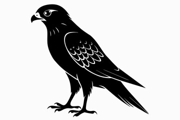 kestrel silhouette on white background, Vector illustration, icon, svg, characters, Holiday t shirt, Hand drawn trendy Vector illustration, eagle silhouette