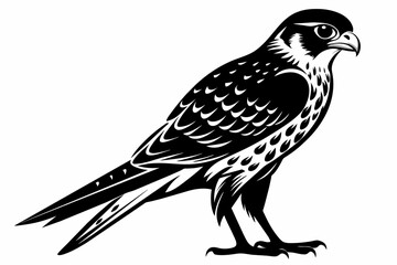 Fototapeta premium kestrel silhouette on white background, Vector illustration, icon, svg, characters, Holiday t shirt, Hand drawn trendy Vector illustration, eagle silhouette