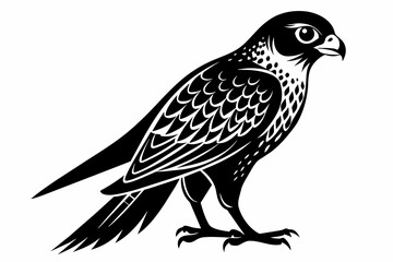 kestrel silhouette on white background, Vector illustration, icon, svg, characters, Holiday t shirt, Hand drawn trendy Vector illustration, eagle silhouette