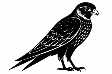 kestrel silhouette on white background, Vector illustration, icon, svg, characters, Holiday t shirt, Hand drawn trendy Vector illustration, eagle silhouette