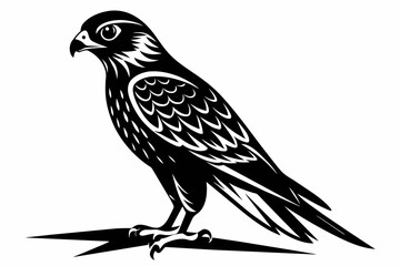 kestrel silhouette on white background, Vector illustration, icon, svg, characters, Holiday t shirt, Hand drawn trendy Vector illustration, eagle silhouette