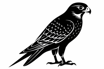 kestrel silhouette on white background, Vector illustration, icon, svg, characters, Holiday t shirt, Hand drawn trendy Vector illustration, eagle silhouette
