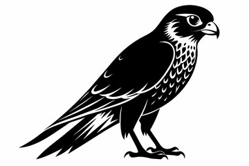 kestrel silhouette on white background, Vector illustration, icon, svg, characters, Holiday t shirt, Hand drawn trendy Vector illustration, eagle silhouette