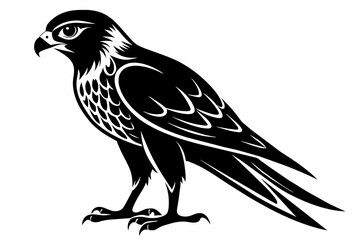 kestrel silhouette on white background, Vector illustration, icon, svg, characters, Holiday t shirt, Hand drawn trendy Vector illustration, eagle silhouette