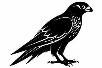 kestrel silhouette on white background, Vector illustration, icon, svg, characters, Holiday t shirt, Hand drawn trendy Vector illustration, eagle silhouette