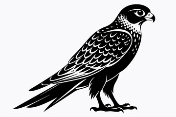 Fototapeta premium kestrel silhouette on white background, Vector illustration, icon, svg, characters, Holiday t shirt, Hand drawn trendy Vector illustration, eagle silhouette