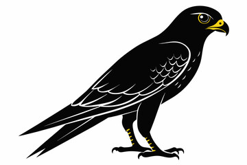 kestrel silhouette on white background, Vector illustration, icon, svg, characters, Holiday t shirt, Hand drawn trendy Vector illustration, eagle silhouette